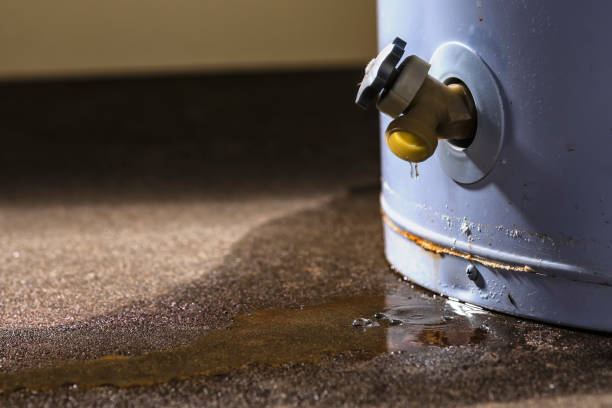 Best Carpet water damage restoration  in Bellerose, NY