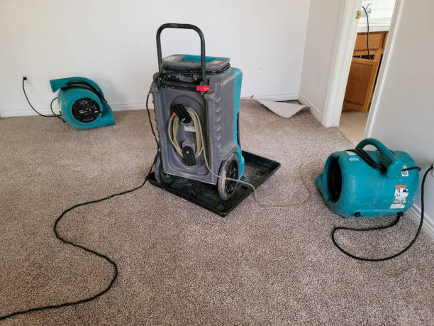 Best Commercial water damage restoration  in Bellerose, NY