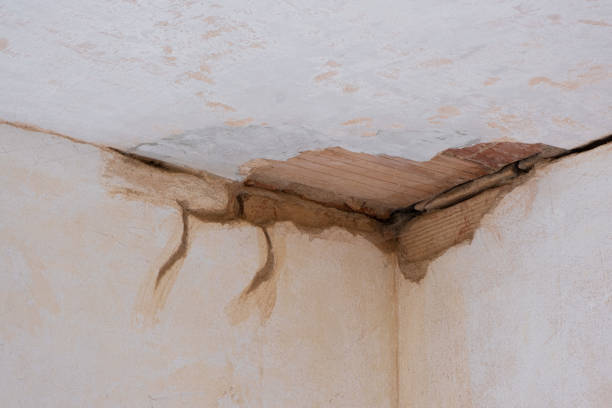 Best Water damage restoration near me  in Bellerose, NY