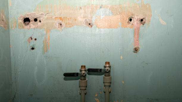Best Ceiling water damage repair  in Bellerose, NY