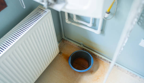 Best Water damage restoration near me  in Bellerose, NY