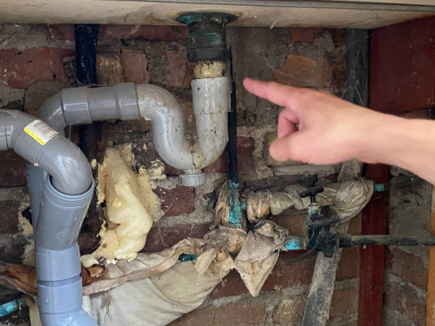 Best Water damage contractors near me  in Bellerose, NY