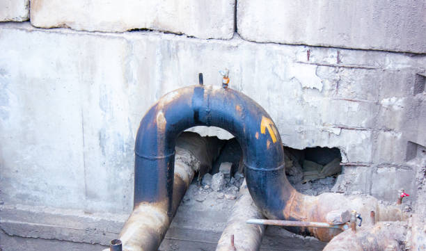 Best Sewage cleanup and water damage restoration  in Bellerose, NY