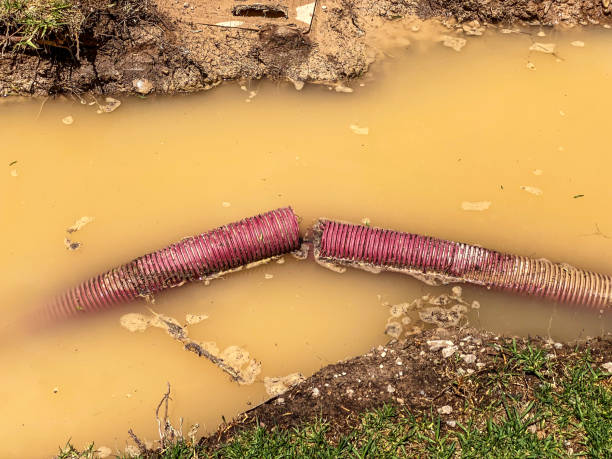 Best Basement water damage restoration  in Bellerose, NY